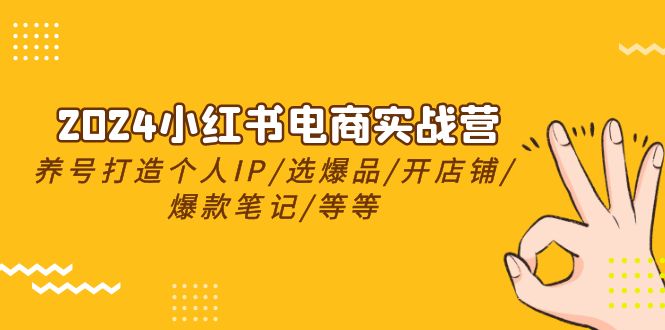 2024小红书电商实战营，养号打造IP/选爆品/开店铺/爆款笔记/等等（24节）-一起网创