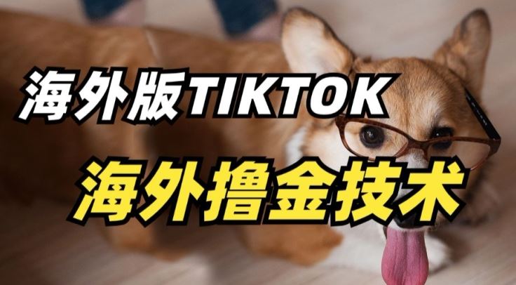 抖音海外版tiktok撸金技术，这个风口行业，赚钱真的不难【揭秘】-一起网创
