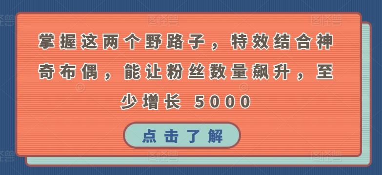 掌握这两个野路子，特效结合神奇布偶，能让粉丝数量飙升，至少增长 5000【揭秘】-一起网创