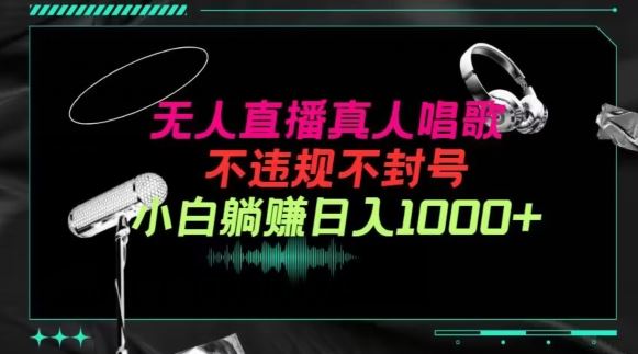 抖音24小时无人直播音乐，不违规，不封号纯撸音浪，小白实操当天日入1000+【揭秘】-一起网创