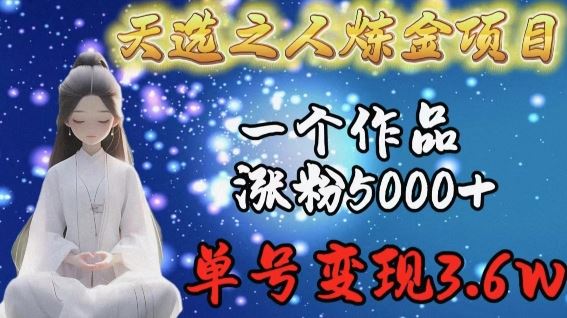 天选之人炼金项目，一个作品涨粉5000+，单号变现3.6w【揭秘】-一起网创
