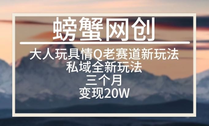大人玩具情Q用品赛道私域全新玩法，三个月变现20W，老项目新思路【揭秘】-一起网创