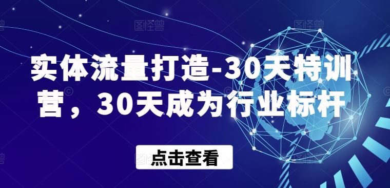 实体流量打造-30天特训营，30天成为行业标杆-一起网创