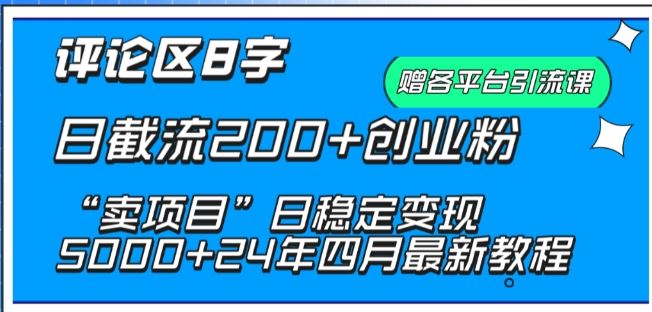 抖音评论区8字日截流200+创业粉 “卖项目”日稳定变现5000+【揭秘】-一起网创
