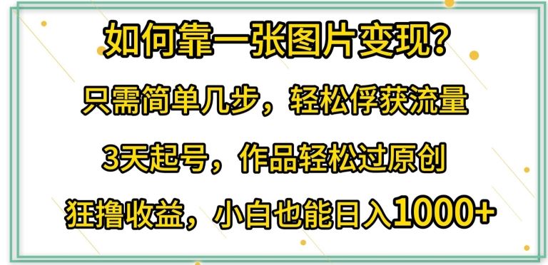 如何靠一张图片变现?只需简单几步，轻松俘获流量，3天起号，作品轻松过原创【揭秘】-一起网创
