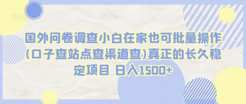 国外问卷调查小白在家也可批量操作(口子查站点查渠道查)真正的长久稳定项目 日入1500+【揭秘】-一起网创