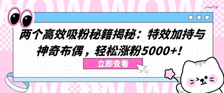 两个高效吸粉秘籍揭秘：特效加持与神奇布偶，轻松涨粉5000+【揭秘】-一起网创