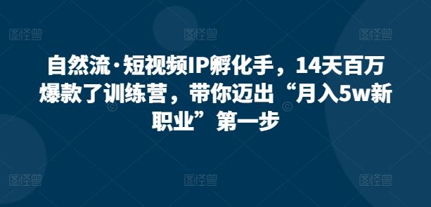 自然流·短视频IP孵化手，14天百万爆款了训练营，带你迈出“月入5w新职业”第一步-一起网创