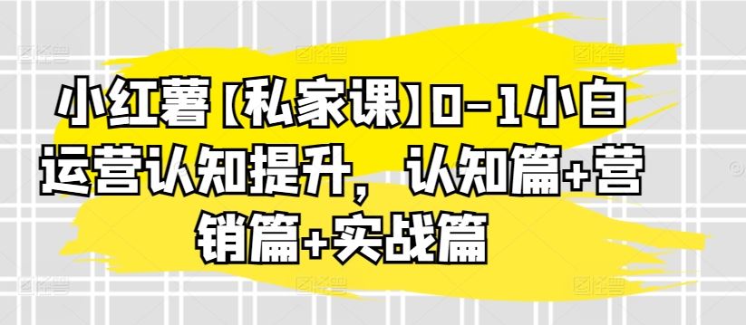 小红薯【私家课】0-1小白运营认知提升，认知篇+营销篇+实战篇-一起网创