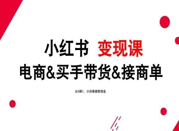 2024年最新小红书变现课，电商&买手带货&接商单，从0到1，小白高效轻创业-一起网创