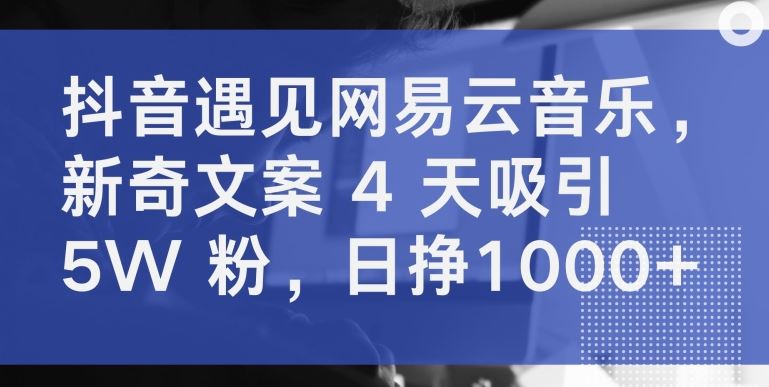 抖音遇见网易云音乐，新奇文案 4 天吸引 5W 粉，日挣1000+【揭秘】-一起网创