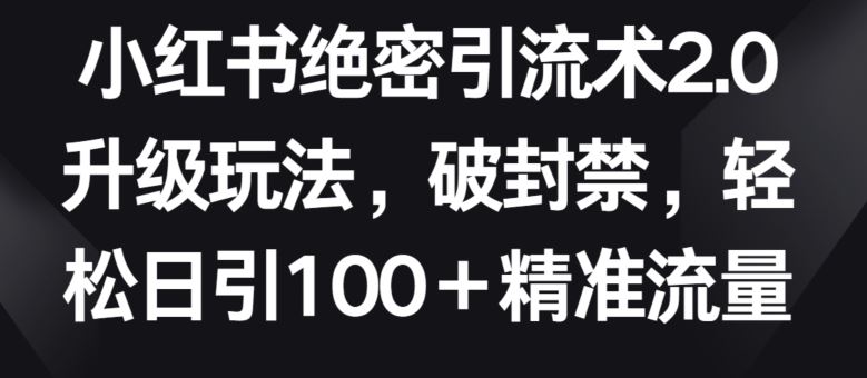 小红书绝密引流术2.0升级玩法，破封禁，轻松日引100+精准流量【揭秘】-一起网创
