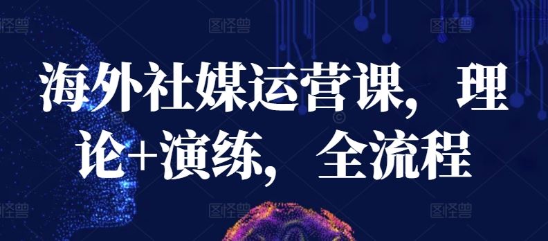 海外社媒运营课，理论+演练，全流程-一起网创