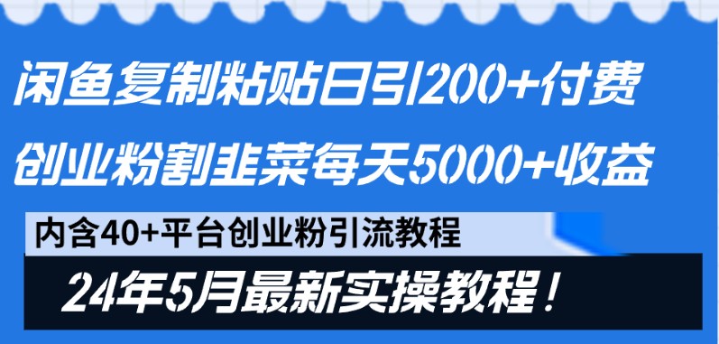 闲鱼复制粘贴日引200+付费创业粉，24年5月最新方法！割韭菜日稳定5000+收益-一起网创
