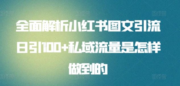 全面解析小红书图文引流日引100+私域流量是怎样做到的【揭秘】-一起网创