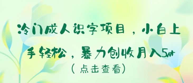 冷门成人识字项目，小白上手轻松，暴力创收月入5w+【揭秘】-一起网创