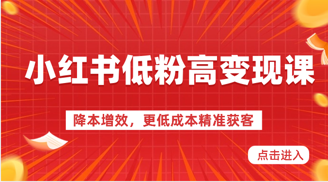 小红书低粉高变现课-降本增效，更低成本精准获客，小红书必爆的流量密码-一起网创