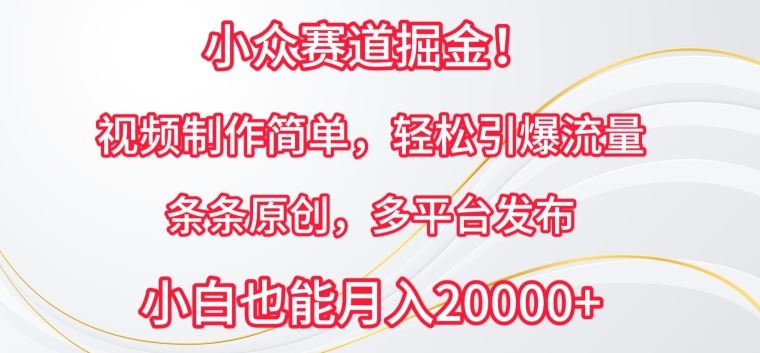 小众赛道掘金，视频制作简单，轻松引爆流量，条条原创，多平台发布【揭秘】-一起网创
