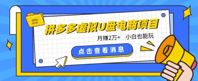 拼多多虚拟U盘电商红利项目：月赚2万+，新手小白也能玩-一起网创