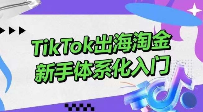 TikTok出海淘金，新手体系化入门，零基础快速入门，掌握短视频、直播带货等引流到变现的知识-一起网创