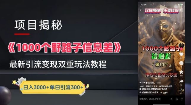 一千个野路子信息差最新玩法教程-变现+引流的玩法具体拆解【揭秘】-一起网创