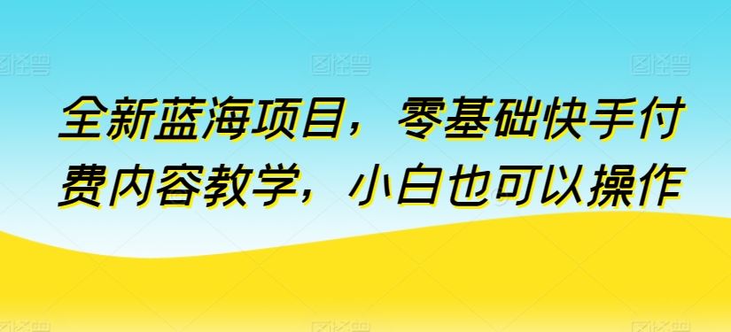 全新蓝海项目，零基础快手付费内容教学，小白也可以操作【揭秘】-一起网创
