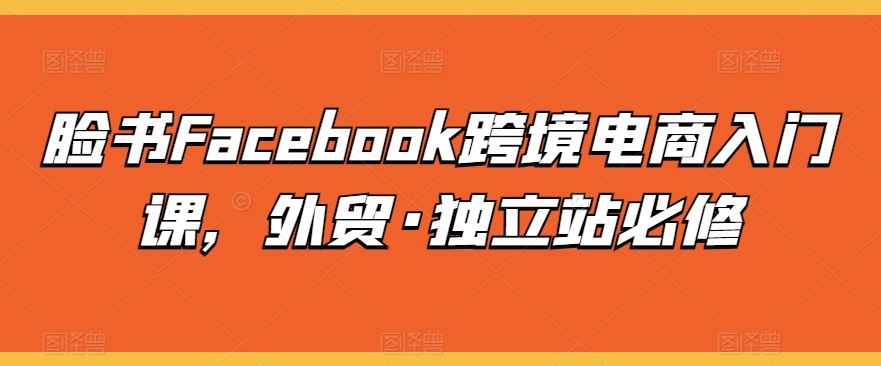 脸书Facebook跨境电商入门课，外贸·独立站必修-一起网创