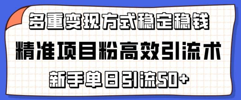 精准项目粉高效引流术，新手单日引流50+，多重变现方式稳定赚钱【揭秘】-一起网创