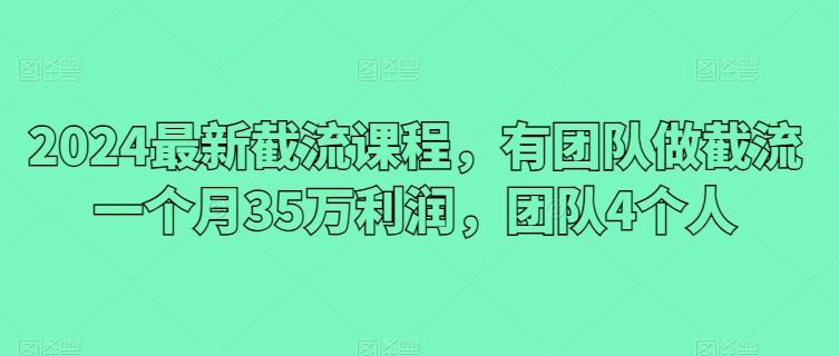 2024最新截流课程，有团队做截流一个月35万利润，团队4个人-一起网创