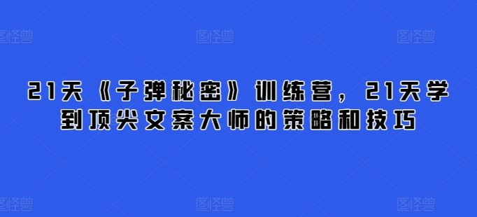 21天《子弹秘密》训练营，21天学到顶尖文案大师的策略和技巧-一起网创