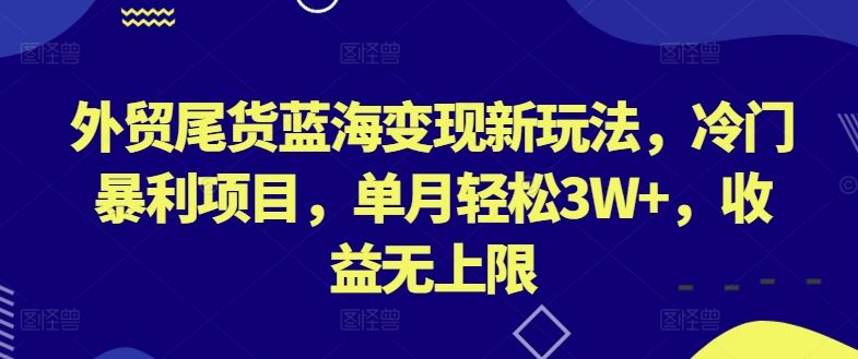 外贸尾货蓝海变现新玩法，冷门暴利项目，单月轻松3W+，收益无上限【揭秘】-一起网创