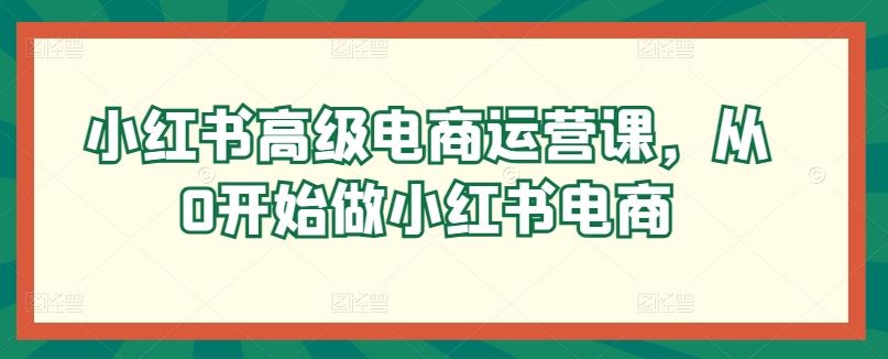 小红书高级电商运营课，从0开始做小红书电商-一起网创