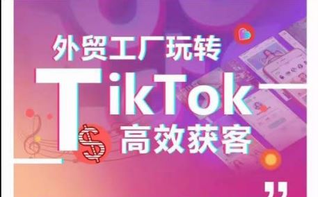 外贸工厂玩转TikTok高效获客，多种引流方式与账号定位技巧，拆解爆款短视频打造成功案例-一起网创