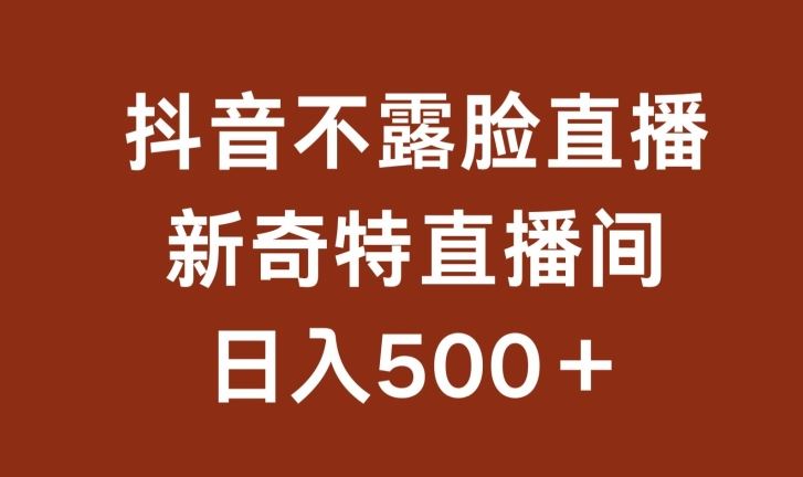 不露脸挂机直播，新奇特直播间，日入500+【揭秘】-一起网创