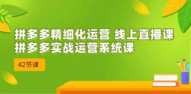拼多多精细化运营 线上直播课：拼多多实战运营系统课（更新47节）-一起网创