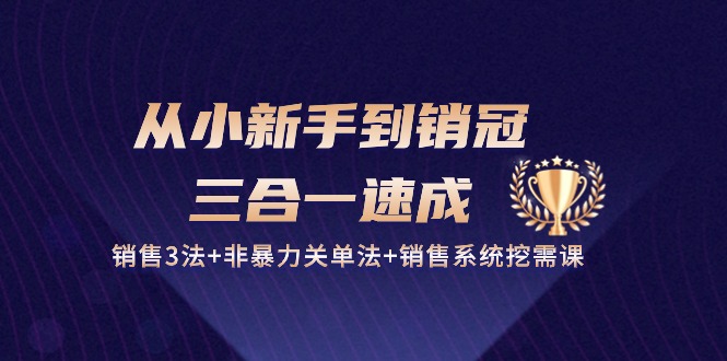 从小新手到销冠三合一速成：销售3法+非暴力关单法+销售系统挖需课 (27节)-一起网创