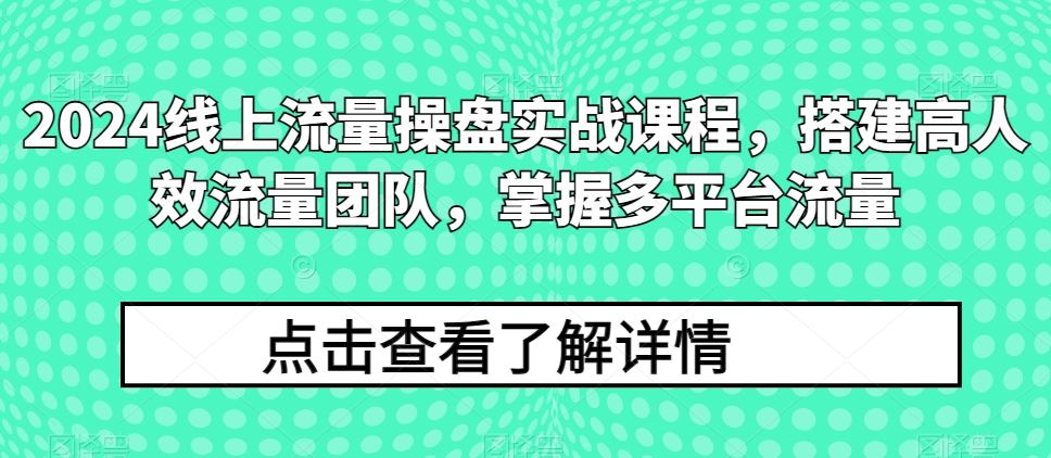 2024线上流量操盘实战课程，搭建高人效流量团队，掌握多平台流量-一起网创