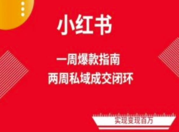 爆款小红书免费流量体系课程(两周变现)，小红书电商教程-一起网创