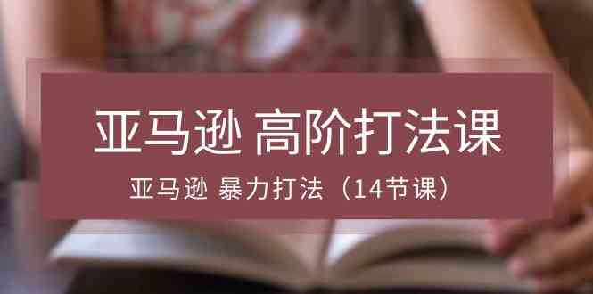 亚马逊高阶打法课，亚马逊暴力打法（14节课）-一起网创