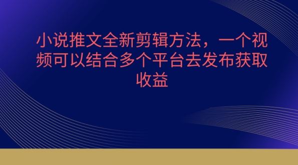 小说推文全新剪辑方法，一个视频可以结合多个平台去发布获取【揭秘】-一起网创