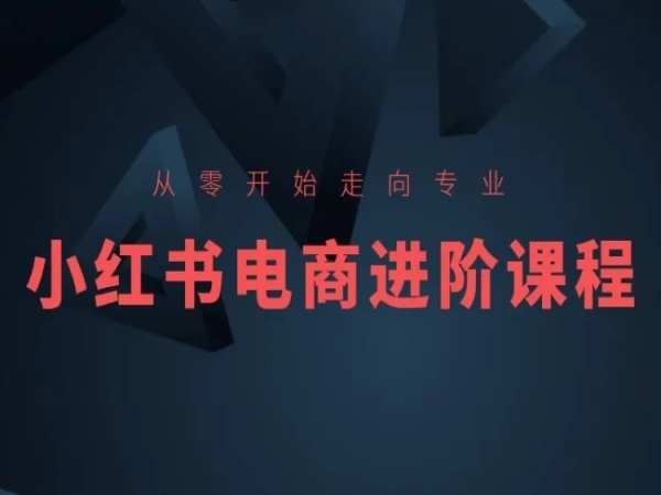 从零开始走向专业，小红书电商进阶课程-一起网创