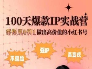 小红书100天爆款IP实战营，带你从0到1做出高价值的小红书号-一起网创