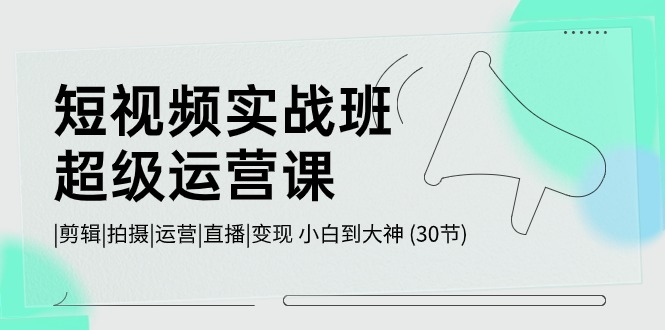 短视频实战班超级运营课 |剪辑|拍摄|运营|直播|变现 小白到大神 (30节)-一起网创