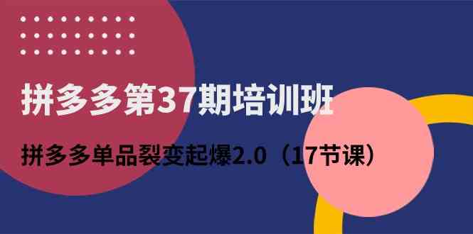 拼多多第37期培训班：拼多多单品裂变起爆2.0（17节课）-一起网创