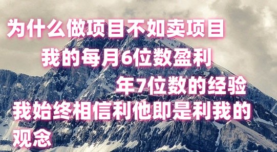 做项目不如卖项目，每月6位数盈利，年7位数经验-一起网创