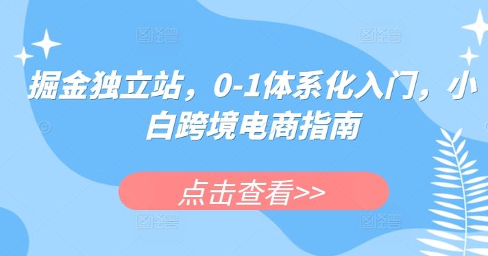 掘金独立站，0-1体系化入门，小白跨境电商指南-一起网创