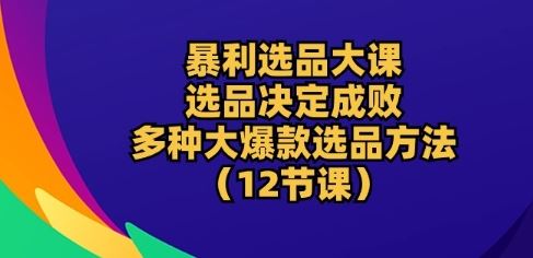 暴利选品大课：选品决定成败，教你多种大爆款选品方法(12节课)-一起网创