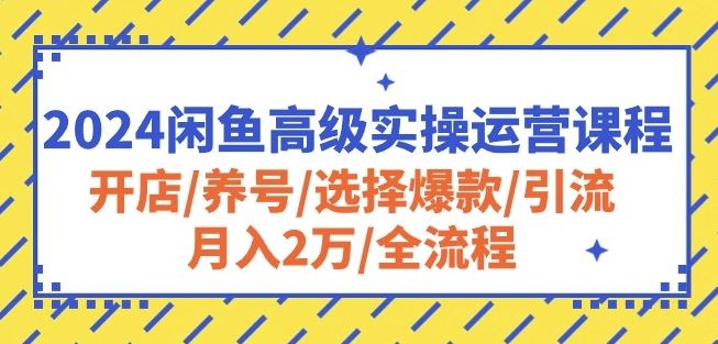 2024闲鱼高级实操运营课程：开店/养号/选择爆款/引流/月入2万/全流程-一起网创