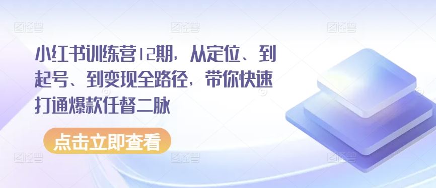 小红书训练营12期，从定位、到起号、到变现全路径，带你快速打通爆款任督二脉-一起网创
