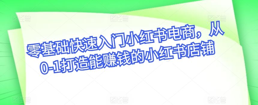 零基础快速入门小红书电商，从0-1打造能赚钱的小红书店铺-一起网创
